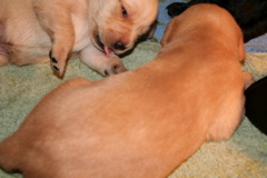 Eyes open - 4